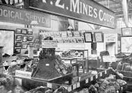 Seddonville coal on display
