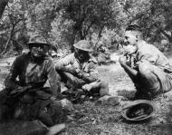 Soldiers shelter amongst olive trees on Crete