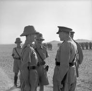 Andrew, Hargest and Freyberg in Egypt