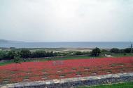 German war cemetery at Crete