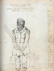 Te Rauparaha sketch