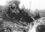 Taking tea in the trenches 