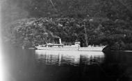 The government steamer Hinemoa