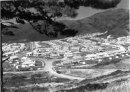 Naenae state housing project