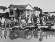 Filmshoot at Whakarewrewa