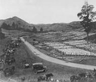 Waingaro saleyards, 1917