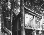 Pole house in Titirangi