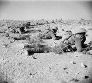 New Zealand troops training in Egypt