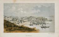 Early Auckland painting