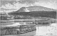 The White Terraces