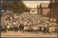 NZ school statistics, 1914-1920
