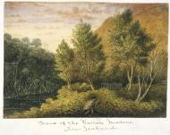 Scene of the Wairau incident