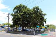 New Lynn School memorial