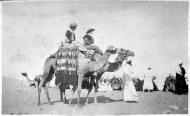 New Zealand nurses in Egypt