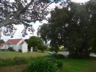 Onerahi memorial oak tree grove