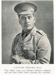Pekama Rongoaia Kaa