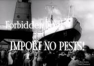 Forbidden fruit! Department of Agriculture film, 1950s