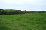 Puketakauere