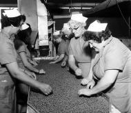 Sorting peas