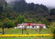 Te Aroha Springs Reserve