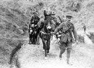 Wounded Scottish soldiers
