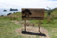 Coromandel World War 1 Memorial Forest