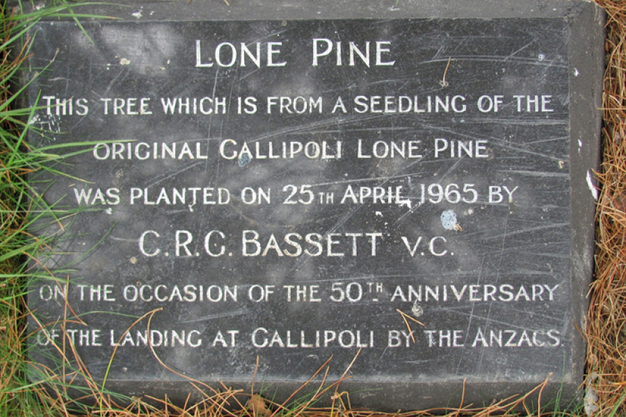 Plaque set into ground