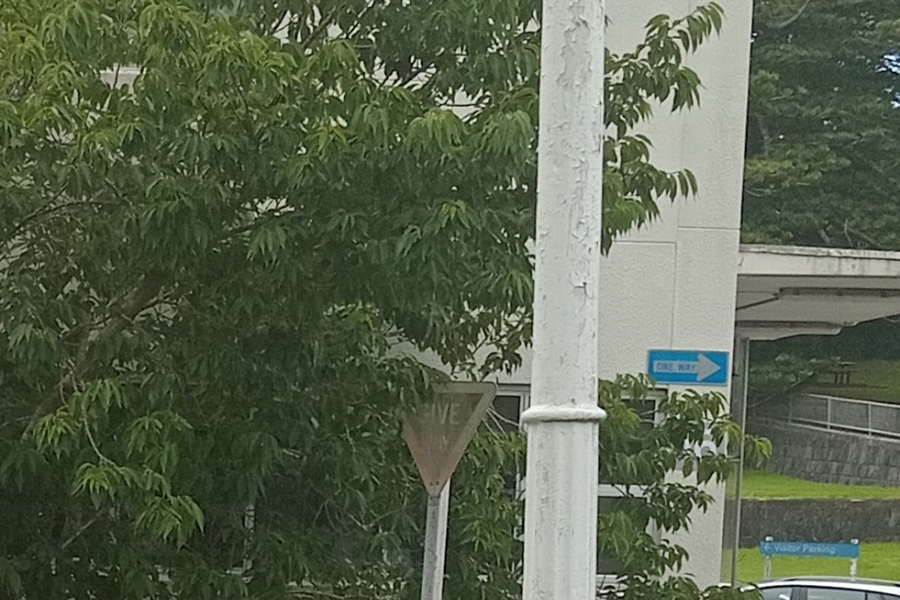 Old metal lamp post on lawn in front of driveway