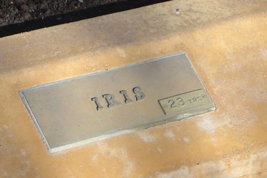 Detail of memorial