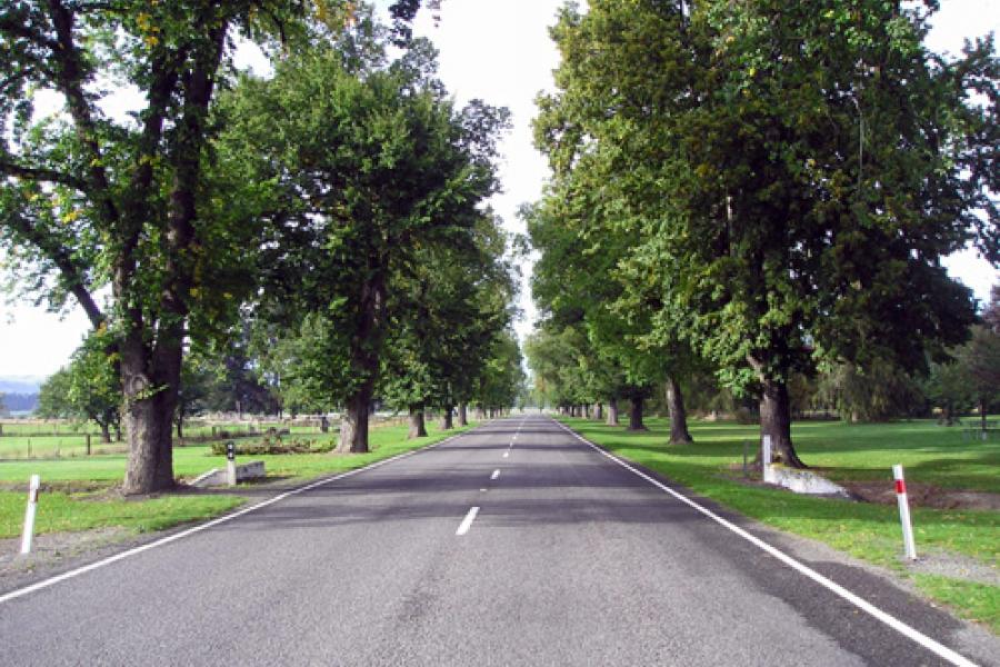 Fairlie Peace Avenue