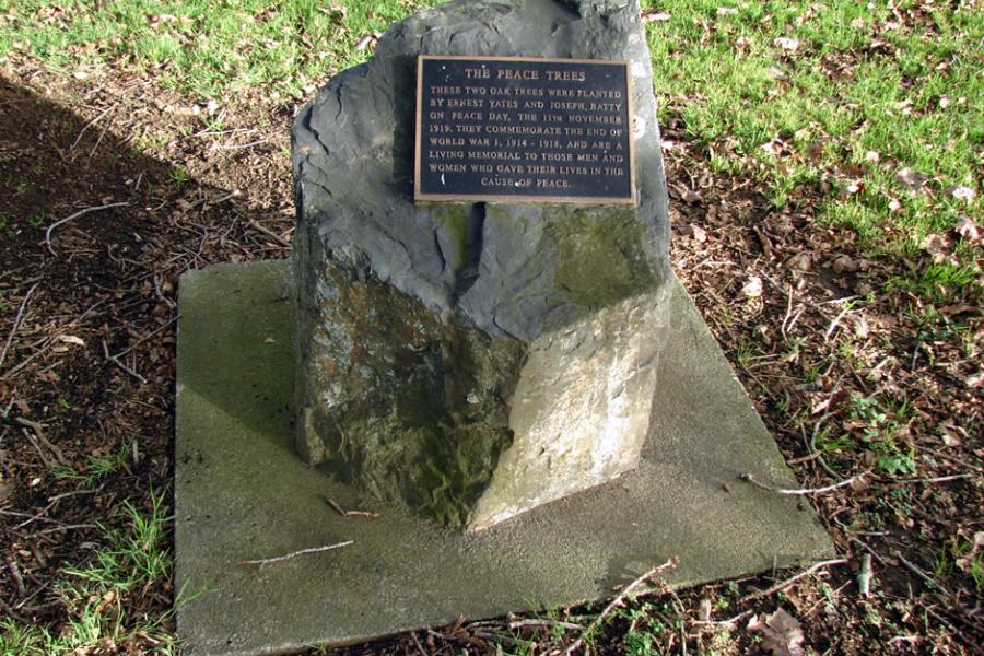 Karaka peace trees memorial