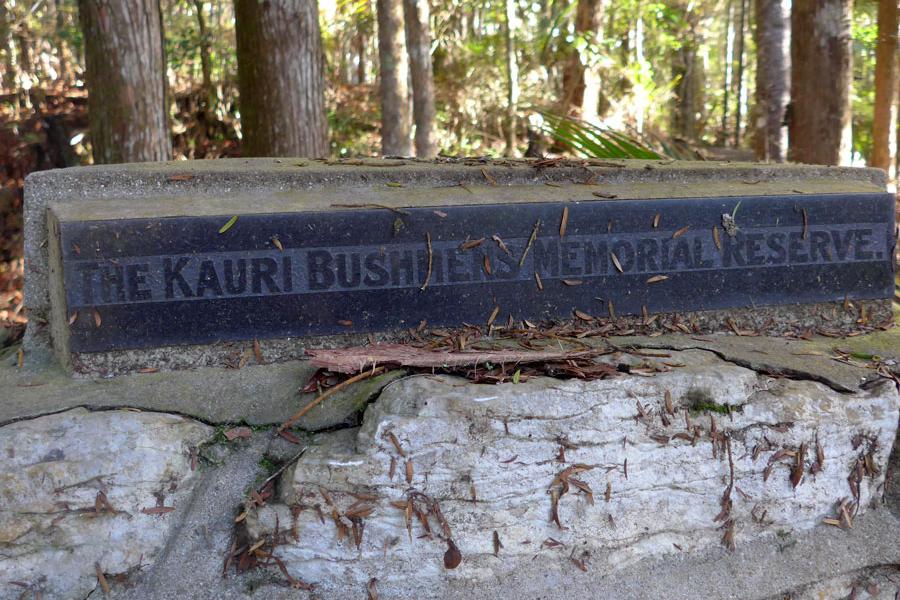Kauri Bushmen's Memorial Reserve, Paparoa