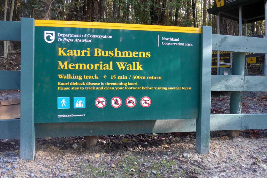 Kauri Bushmen's Memorial Reserve, Paparoa