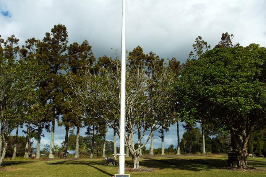 White flagpole sitting in grass area in front of a stand of trees