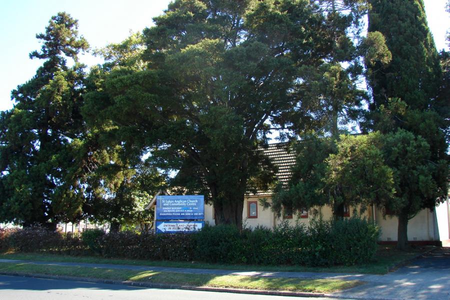St Lukes Manurewa memorial trees