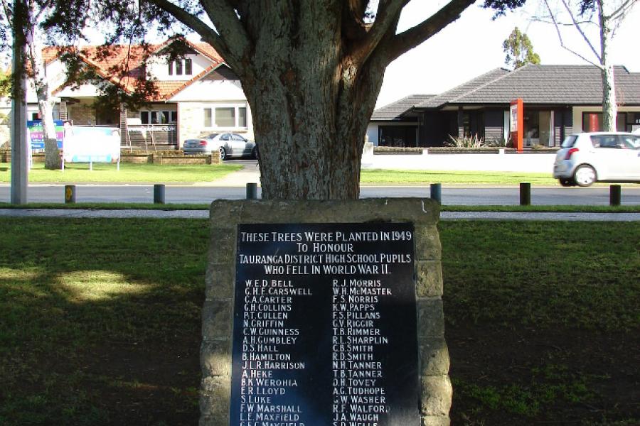 Tauranga District Council High School memorial trees