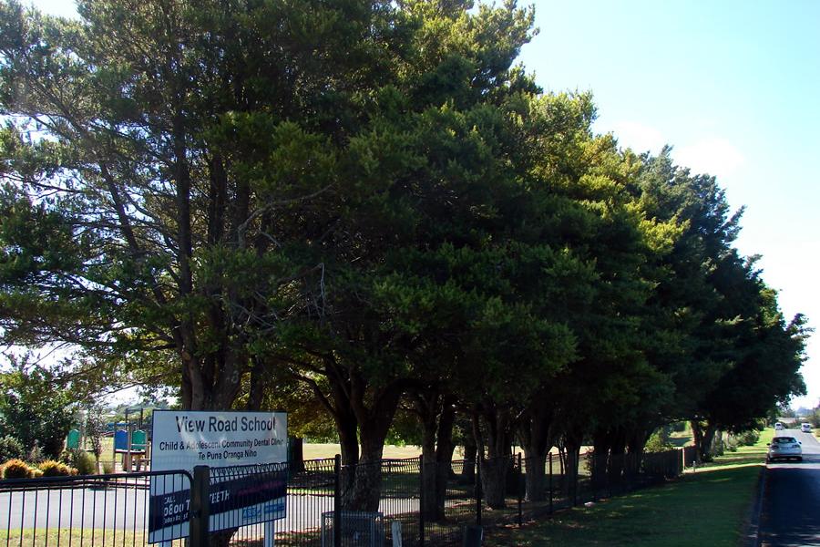 Memorial