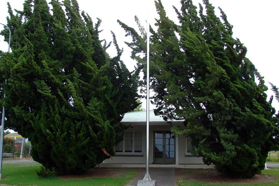 Memorial