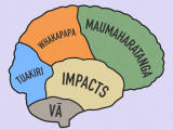 Outline of human brain with different coloured sections titled Tuakiri, Whakapapa, Maumaharatanga, Impacts, and Vā