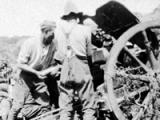 New Zealand artillery at Gallipoli