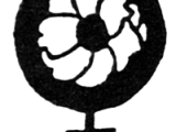 Auckland Feminist Teachers