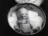 Dolls in miniature hat boxes were reputedly sold as souvenirs during Minnie Dean's trial