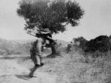 Advancing near Hill 60