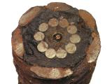 Cross-section of telegraph cable