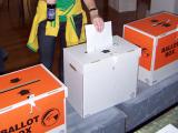 Casting a special vote, 2008