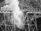 Belmont viaduct blown up