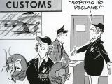 Cartoon about NZ women's cricket team