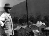 A scene from Waiuta