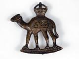 Imperial Camel Corps