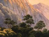 Exploring New Zealand's interior 